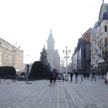 Filiala CRIFST Timișoara